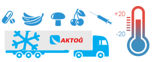aktog-sicaklik-kontrollu-tasimacilik